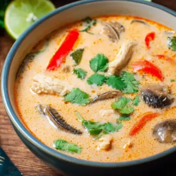 Crockpot Thai Coconut Chicken Soup