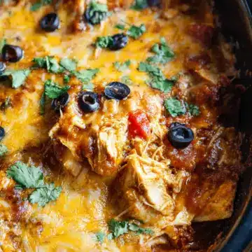 Slow Cooker Chicken Enchilada Casserole